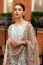 Mushq - Hemline Chikankari '24 Odyssey HMC-11 Nightingale Noir