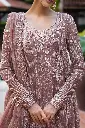 Mushq - Roohi Collection - 05 Vaniya