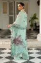 Ramsha - Dastak Luxury Chiffon Collection Q-102