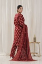 Designer Cotton Lawn 3 Pcs Unstitched Printed Collection 2024 - DL-124