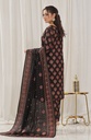Designer Cotton Lawn 3 Pcs Unstitched Printed Collection 2024 - DL-123