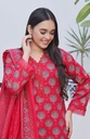 Designer Cotton Lawn 3 Pcs Unstitched Printed Collection 2024 - DL-110