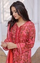 Designer Cotton Lawn 3 Pcs Unstitched Printed Collection 2024 - DL-099