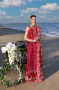 Saadia Asad - Noor Luxury Chikankari Lawn 23 D12-A