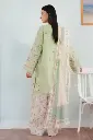 SERENE-2Ac.webp