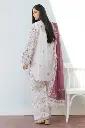 SERENE-2Bc.webp
