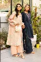 RRLS25-D09-08.webp