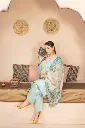 TAPF-D1539-03.webp