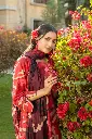 TA-NLDPDV2-D1513-03.webp