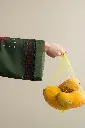 ZSCP-V3-03A-03.webp