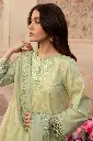 Cross Stitch - Premium Lawn 2024 Vol 1 - Design 24 Misted Green