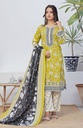 Designer Cotton Lawn 3 Pcs Unstitched Printed Collection 2024 - DL-143