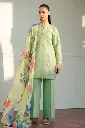 Zara Shahjahan - Coco Lawn 2025 - D3B Tina
