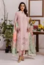 Adan's Libas - Stella Chikankari D-10