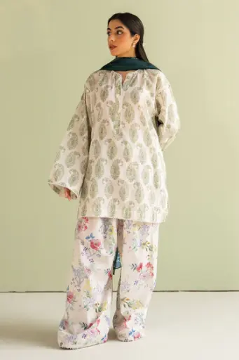 Zara Shahjahan - Coco Prints 2025 - D6B Paisley