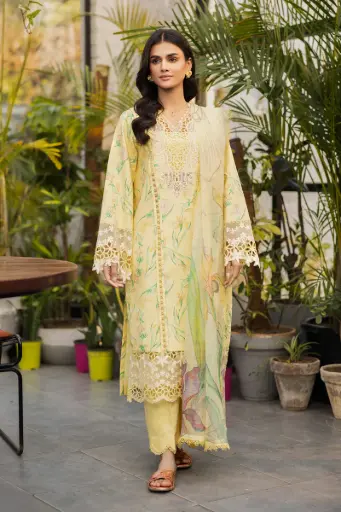 Rang Rasiya - Lifestyle Summer Edit '25 D-11 Olivine