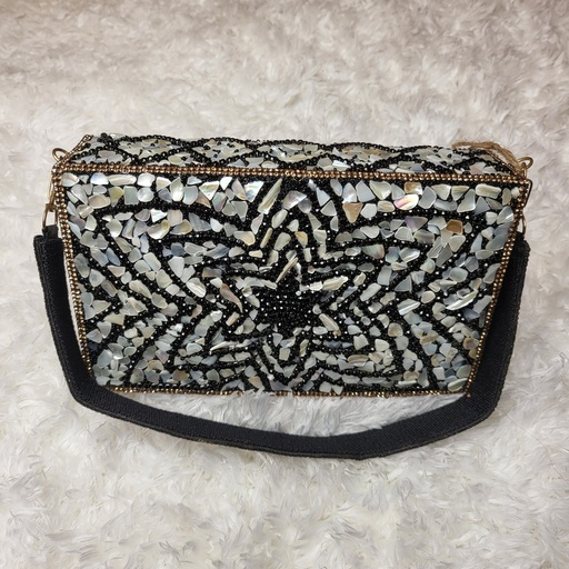 Maryam Manha's Bag - 09 - Shiney