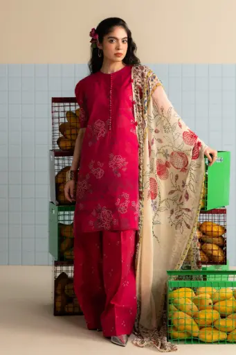 Zara Shahjahan - Coco Prints Vol 03 - D06B Kina
